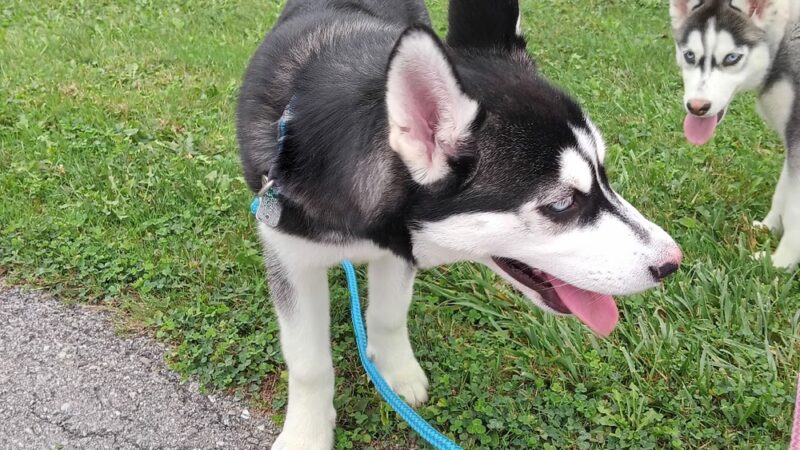 Benzinger Park - St Marys, PA