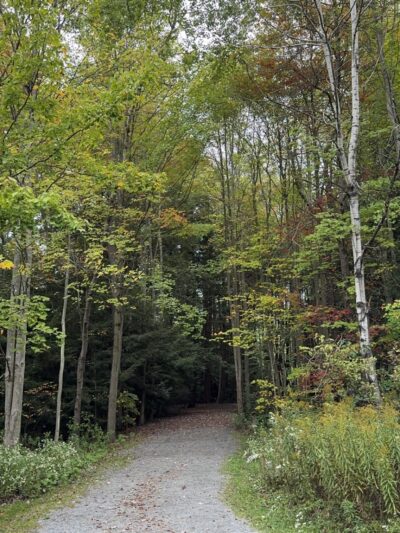 Benzinger Park - St Marys, PA