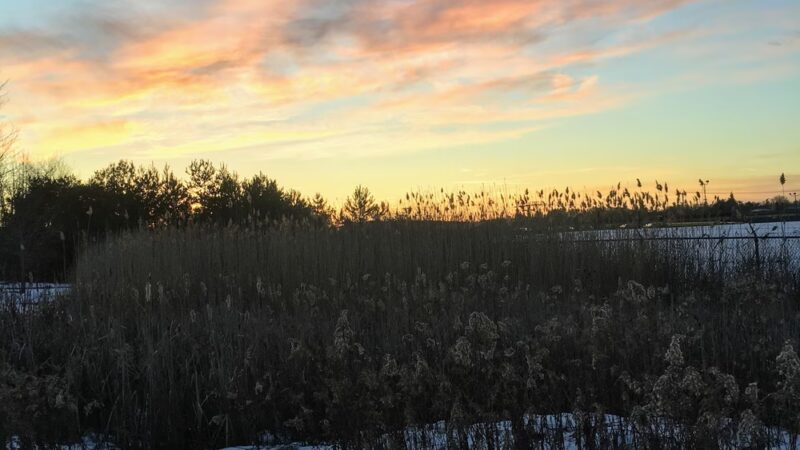 Kaulmont Park - St Marys, PA