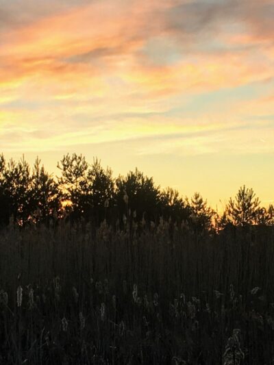 Kaulmont Park - St Marys, PA