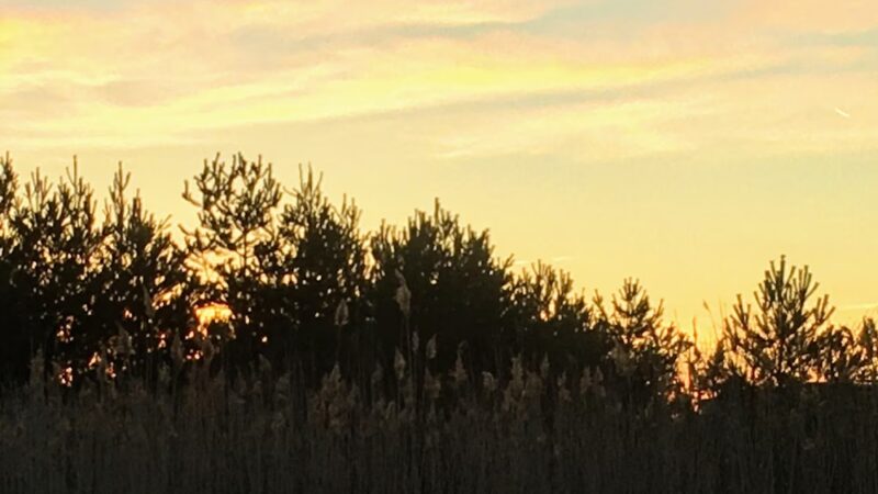 Kaulmont Park - St Marys, PA