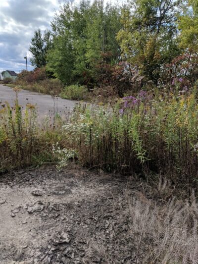 Kaulmont Park - St Marys, PA