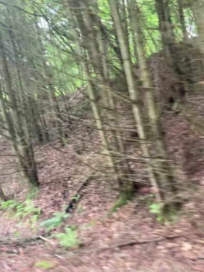 West Creek Rails to Trails - St Marys, PA