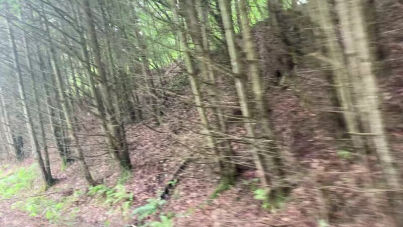 West Creek Rails to Trails - St Marys, PA