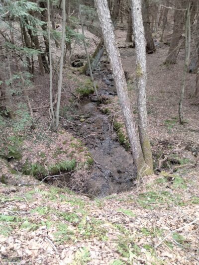 West Creek Rails to Trails - St Marys, PA