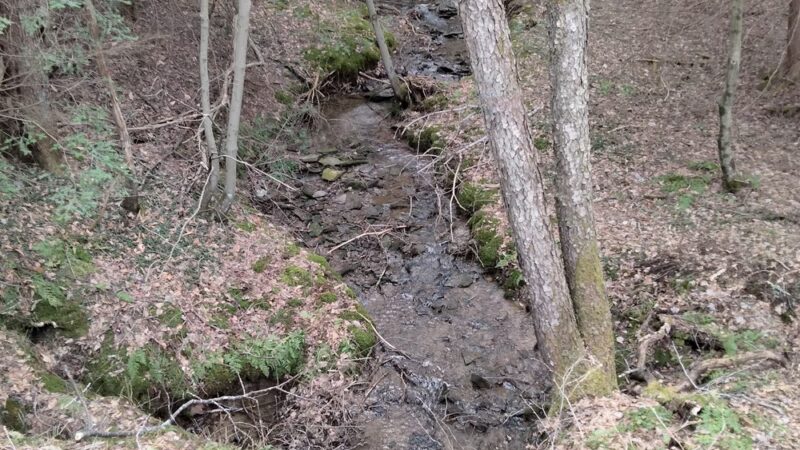 West Creek Rails to Trails - St Marys, PA