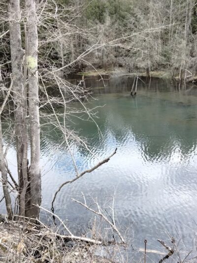 West Creek Rails to Trails - St Marys, PA