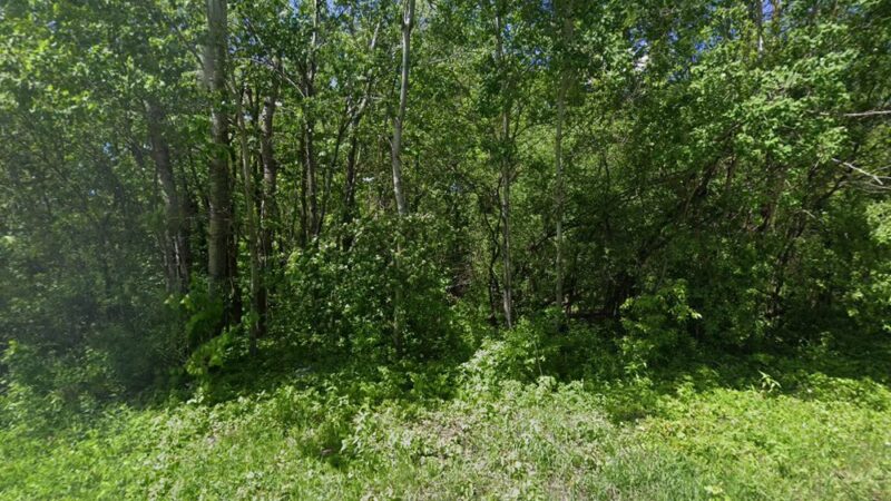 Maple Woods Park - St Michael, MN