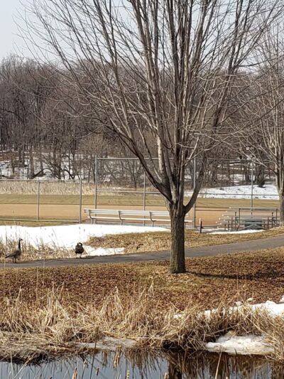 Preserve Park, St. Michael, MN - St Michael, MN