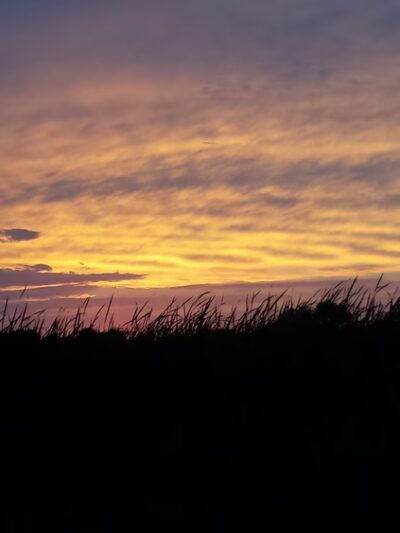 Swamp Lake Park - St Michael, MN