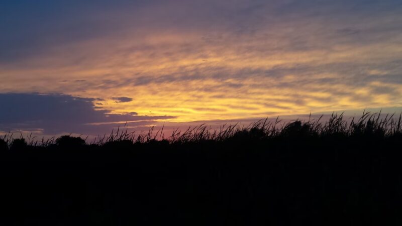 Swamp Lake Park - St Michael, MN