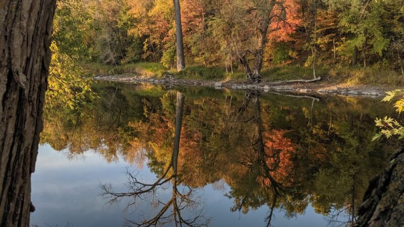 The Landings Park - St Michael, MN