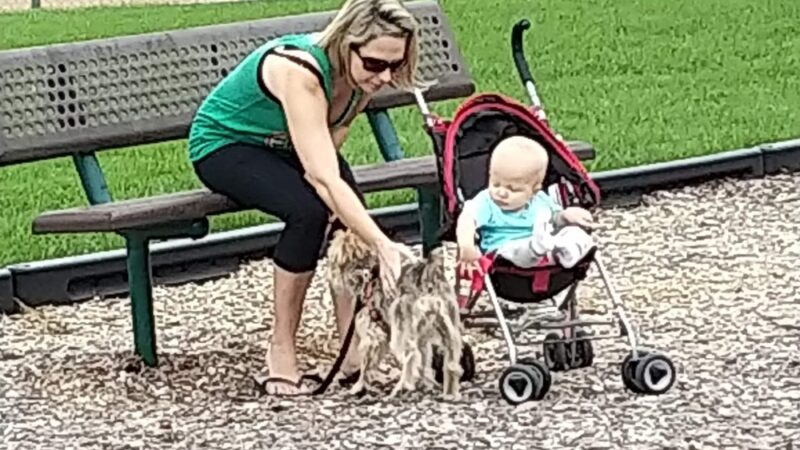 Walnut Park - St Michael, MN