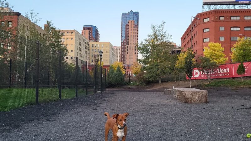 Lowertown Dog Park - St Paul, MN