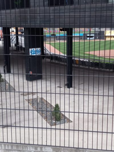 Lowertown Dog Park - St Paul, MN