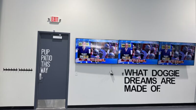 Saint Bark - St Paul, MN