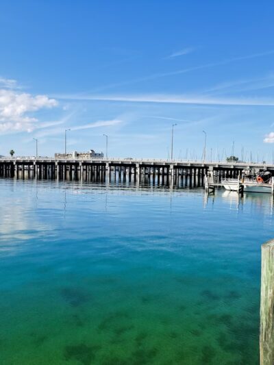 St Pete Beach Dog Park - St Pete Beach, FL