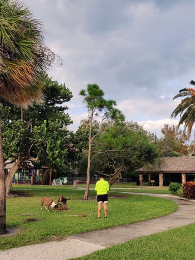 St Pete Beach Dog Park - St Pete Beach, FL