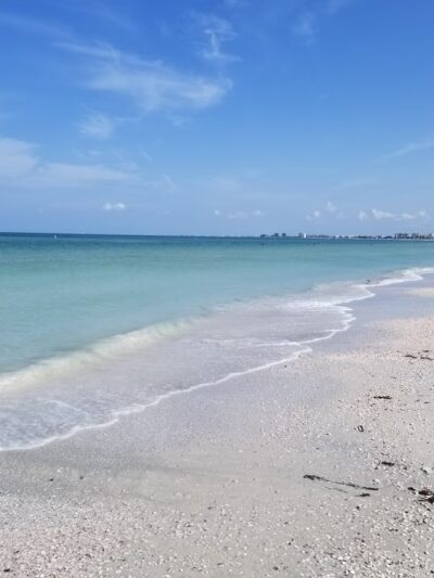Pass A Grille Dog Beach - St Pete Beach, FL