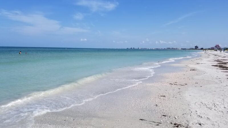 Pass A Grille Dog Beach - St Pete Beach, FL