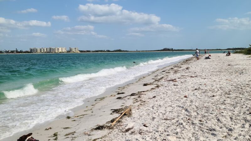 Pass A Grille Dog Beach - St Pete Beach, FL
