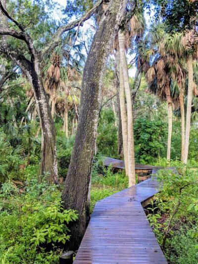 Abercrombie Park - St. Petersburg, FL
