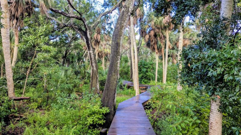 Abercrombie Park - St. Petersburg, FL