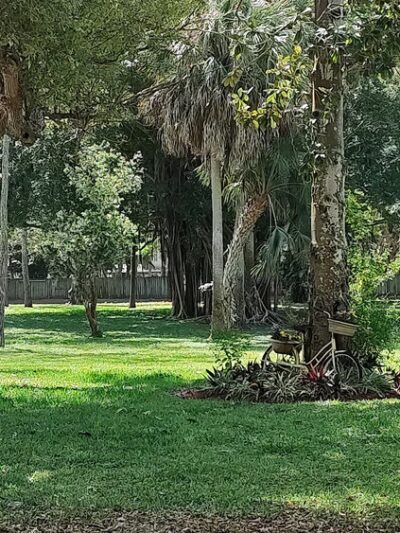 Forrest Bluff Park - St. Petersburg, FL