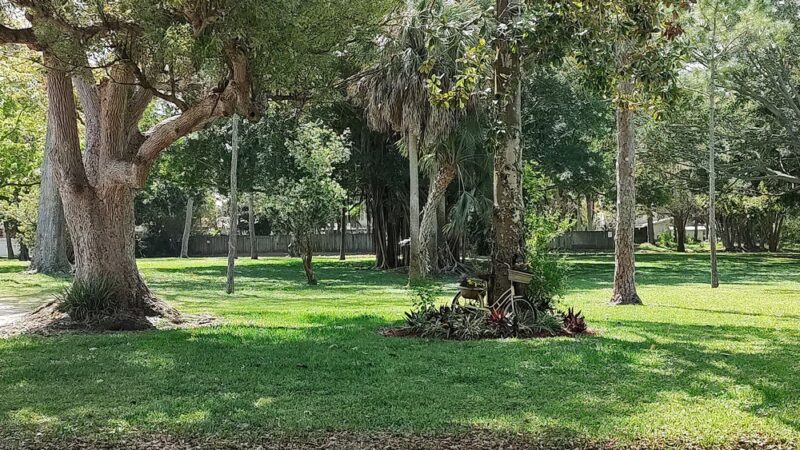 Forrest Bluff Park - St. Petersburg, FL