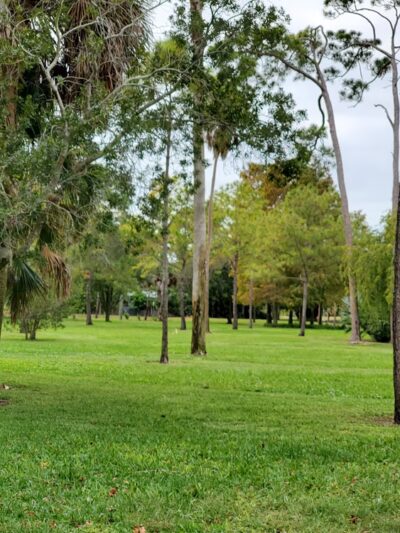 Forrest Bluff Park - St. Petersburg, FL
