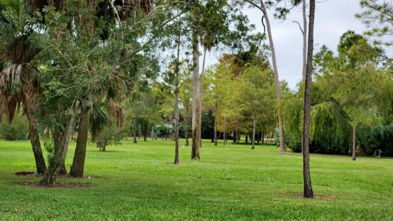 Forrest Bluff Park - St. Petersburg, FL
