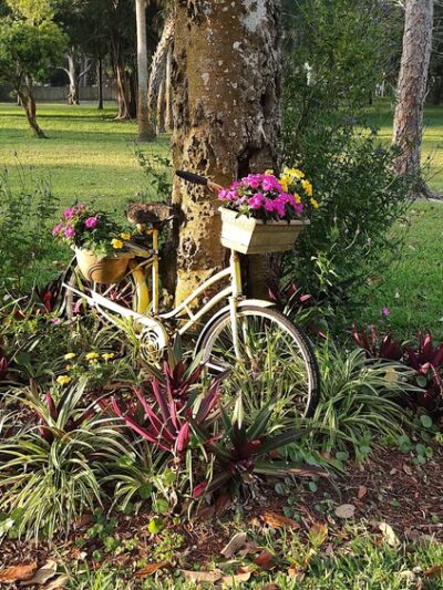 Forrest Bluff Park - St. Petersburg, FL