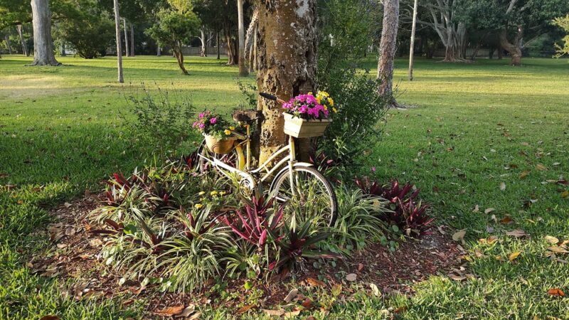 Forrest Bluff Park - St. Petersburg, FL