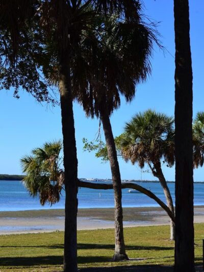 Maximo Park - St. Petersburg, FL