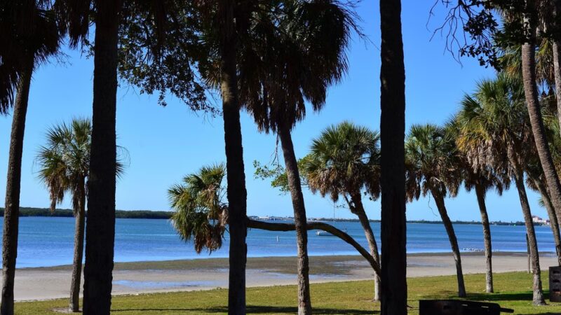 Maximo Park - St. Petersburg, FL