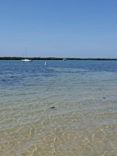 Maximo Park - St. Petersburg, FL