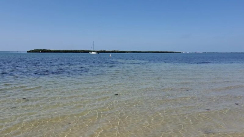 Maximo Park - St. Petersburg, FL