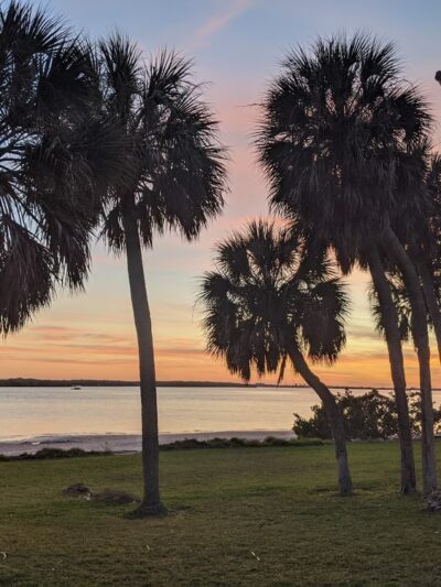 Maximo Park - St. Petersburg, FL