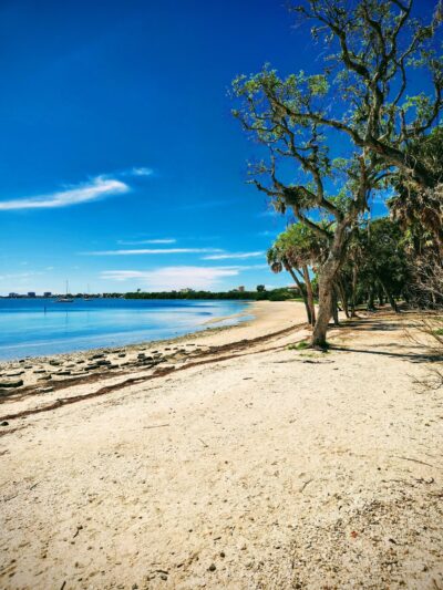 Maximo Park - St. Petersburg, FL