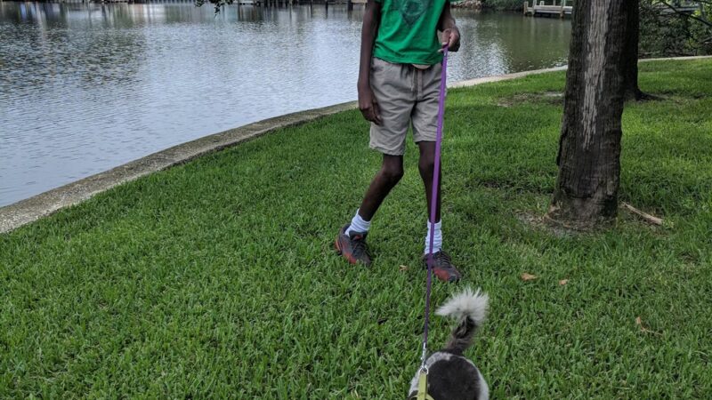 Shore Acres Mini Park - St. Petersburg, FL