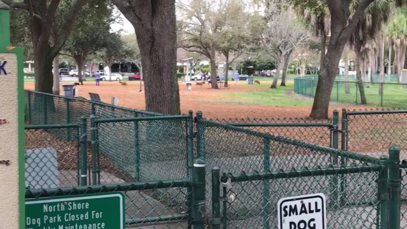 Small Dogs Park at the Vinoy Park of St petersburg - FL - St. Petersburg, FL