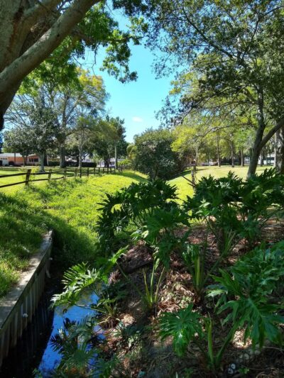 Allendale Park - St. Petersburg, FL