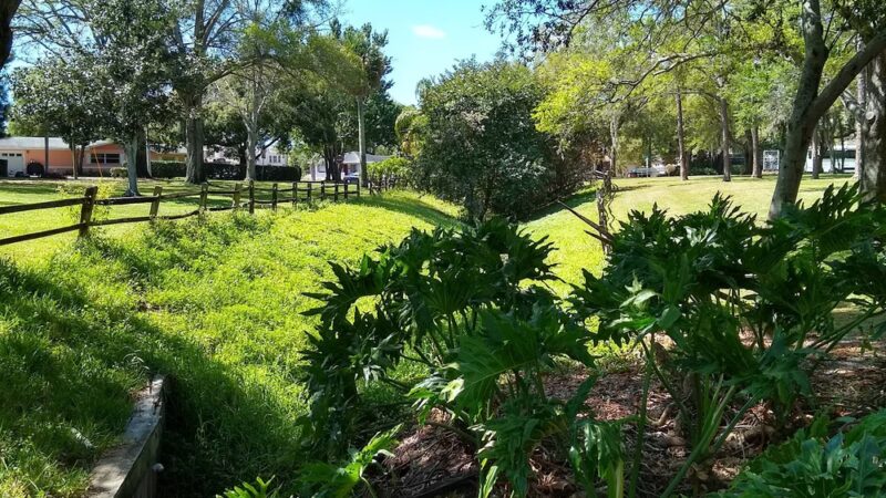 Allendale Park - St. Petersburg, FL