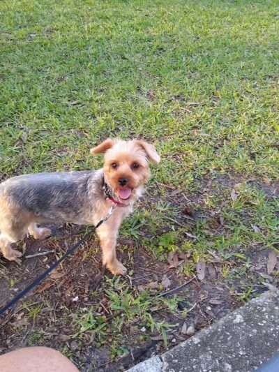 Allendale Park - St. Petersburg, FL