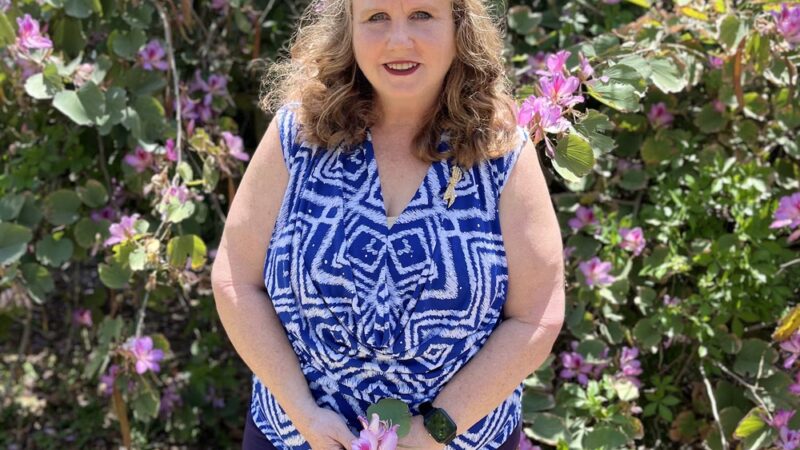 Allendale Park - St. Petersburg, FL