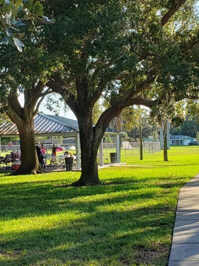 Azalea Park - St. Petersburg, FL