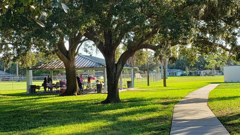 Azalea Park - St. Petersburg, FL