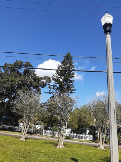 Blanc Park - St. Petersburg, FL