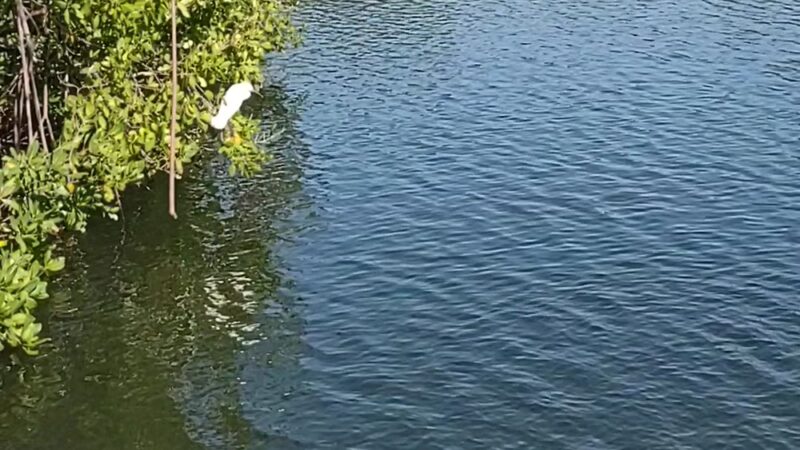 Coquina Key Park - St. Petersburg, FL