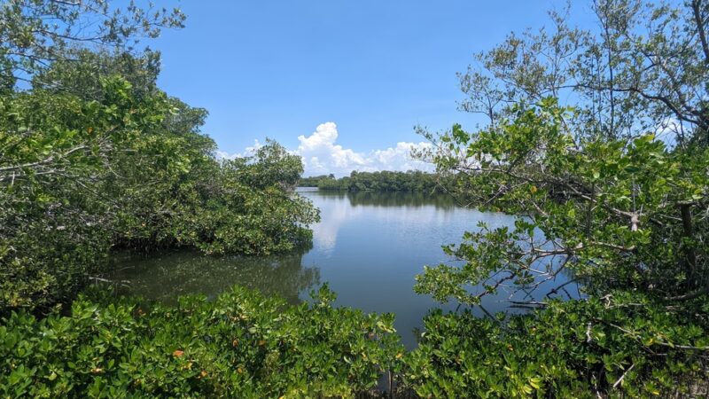 Coquina Key Park - St. Petersburg, FL